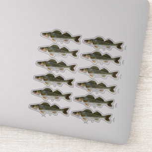 Sticker Une douzaine de brochettes de walleye