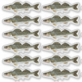 Sticker Une douzaine de brochettes de walleye (Devant)