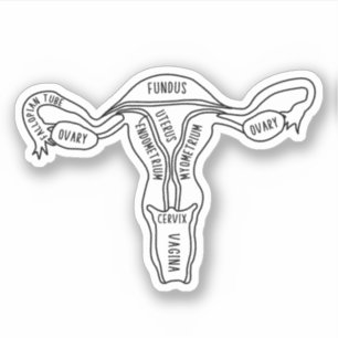 Sticker Uterus Anatomie, Féministe, Gynécologue, Sage-femm