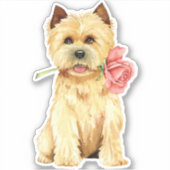 Sticker Valentine Cairn Terrier Vinyl (Devant)