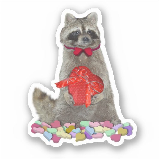 Sticker Valentine Raccoon Bandit (Devant)