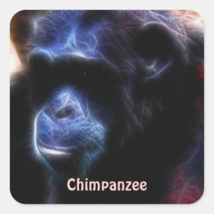 Sticker van bedreigde chimpansees in Afrika
