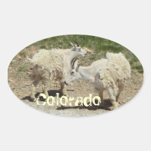 Sticker van geit van colorado