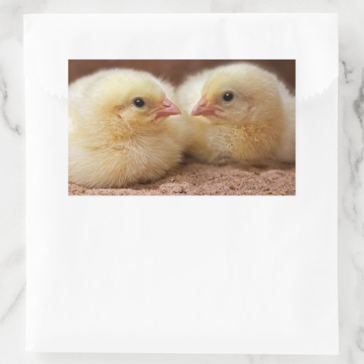 Sticker van kippen (Tas)