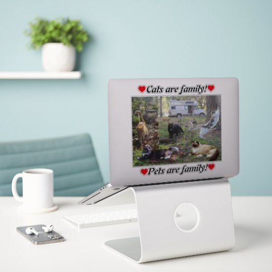 Sticker Van Life Chat Lady Toute La Femme Damas (Ordinateur portable sur le bureau)