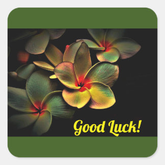 Sticker veel succes!