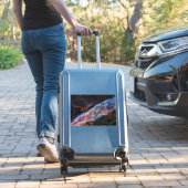 Sticker Veil Nebula Supernova Reste Télescope Hubble (Valise Insitu)