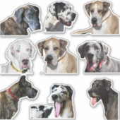 Sticker vellen diverse Great Dane gezichten (Voorkant)