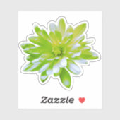 Sticker Vert turquoise fleurie jaune rétro Daisy (Feuille)