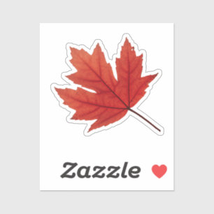 Sticker Vibes d'automne douillettes : automne