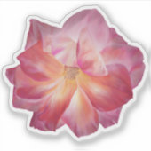 Sticker Vibrant Pastel Rose Illustration personnalisée (Devant)