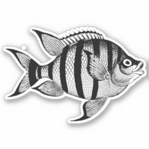 Sticker vie marine de poisson vintage illustration des ani