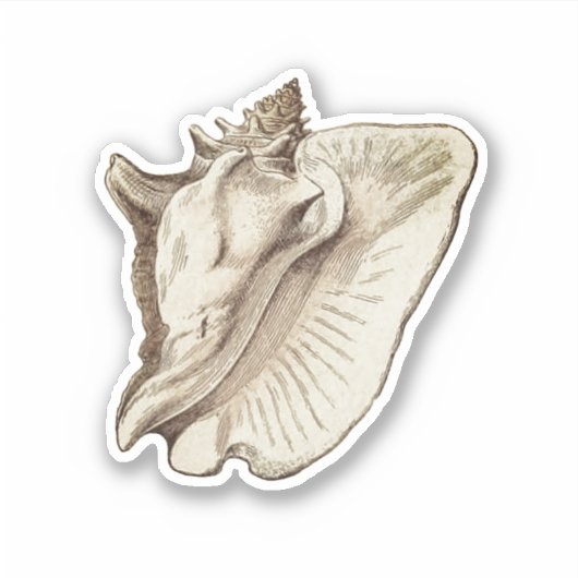 Sticker vintage conch sépia classique collant rond (Devant)