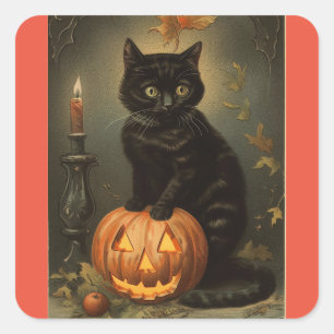 Sticker vintage Halloween Kitten