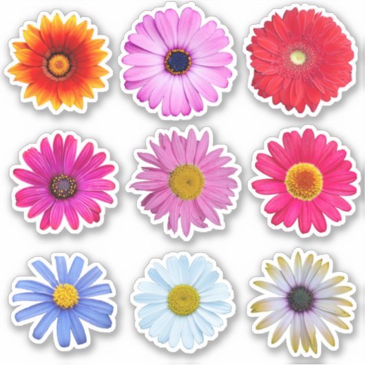 Sticker Vinyl Fleurs marguerites (Devant)