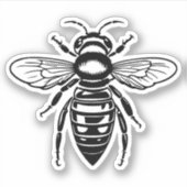 sticker vinyle (Devant)