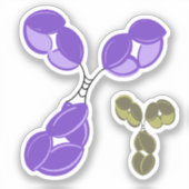 sticker vinyle - IgG violet (anticorps) avec bonus (Recto)