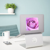 Sticker violet Rose gros plan (Ordinateur portable sur le bureau)