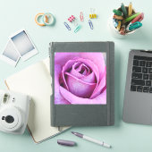 Sticker violet Rose gros plan (Couverture iPad)