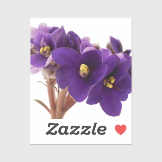 Sticker Violette africaine (Feuille)
