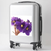 Sticker Violette africaine (Sur valise)