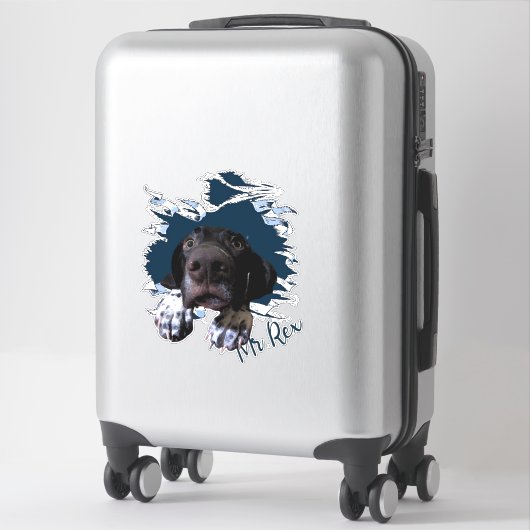 Sticker visage de chien de Fanny (Sur valise)