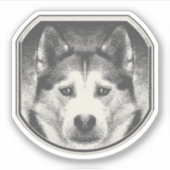 STICKER VISAGE SIBÉRIEN HUSKY (Devant)