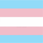 Sticker Visibilité du drapeau de fierté transgenre de Slip (Devant)