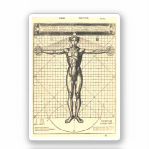 Sticker Vitruvian Man (Vitruvius : De architectura)