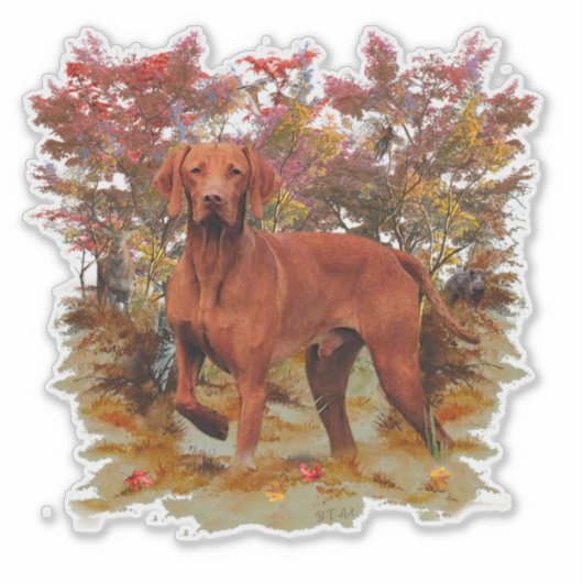 Sticker Vizsla (Devant)
