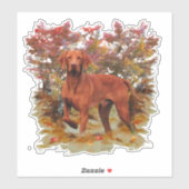 Sticker Vizsla (Feuille)