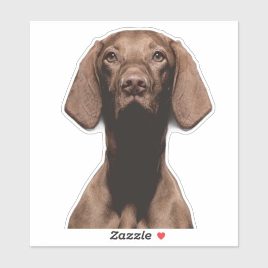 Sticker Vizsla découpé (Feuille)