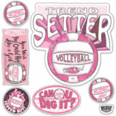 Sticker Volley-ball Pink Trend Setter (Devant)