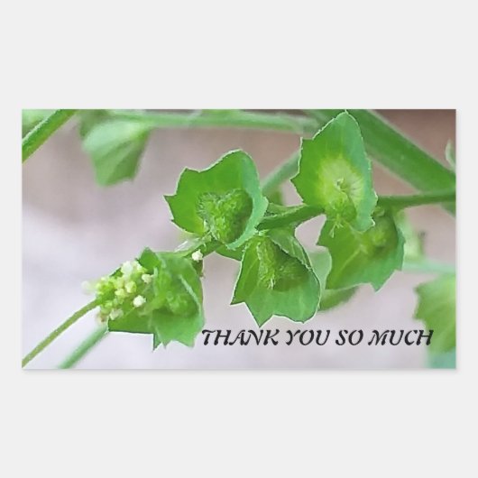 STICKER VOOR DANK (Voorkant)