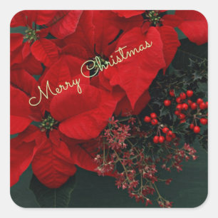 Sticker voor fijne kerst