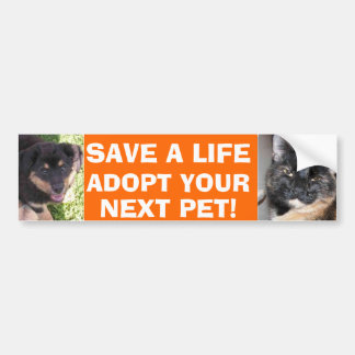 Sticker voor honden en kattenliefhebbers