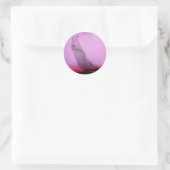  Sticker voor racejacht (Tas)