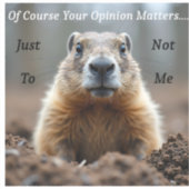 Sticker Votre opinion compte avec sarcasme (Recto)