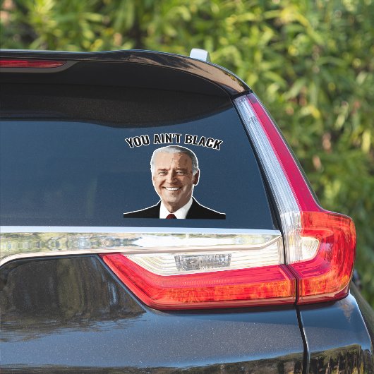STICKER VOUS N'AVEZ PAS NOIR JOE BIDEN VOITURE DECAL STICK (Côté voiture)
