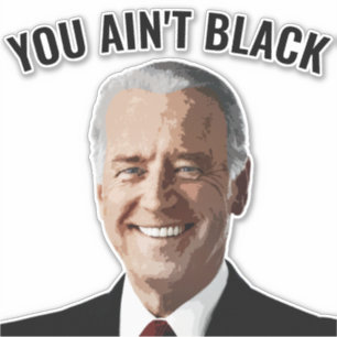STICKER VOUS N'AVEZ PAS NOIR JOE BIDEN VOITURE DECAL STICK