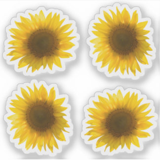 Sticker Vrai tournesol jaune 4x set