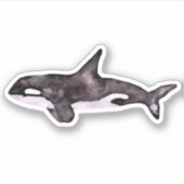 Sticker Watecolor Orca Whale (Devant)