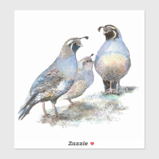 Sticker Watercolor California Quail Bird Nature Faune (Feuille)