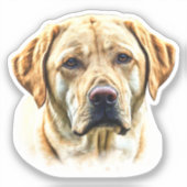 Sticker Watercolor Labrador Retriever (Recto)