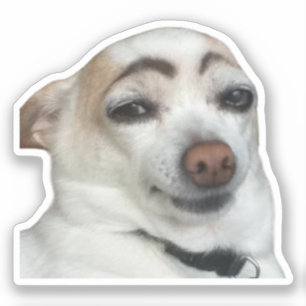 Sticker wenkbrauw hond meme