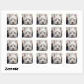 Sticker West Highland Terrier (Feuille)