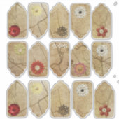 Sticker Whimsical and fun (Devant)