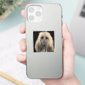 Sticker White Afghan Hound (Téléphone)