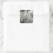 Sticker - White Azaleas (Tas)