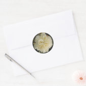 Sticker White Carnation Beauté (Enveloppe)